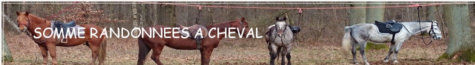 SOMME RANDONNEES A CHEVAL